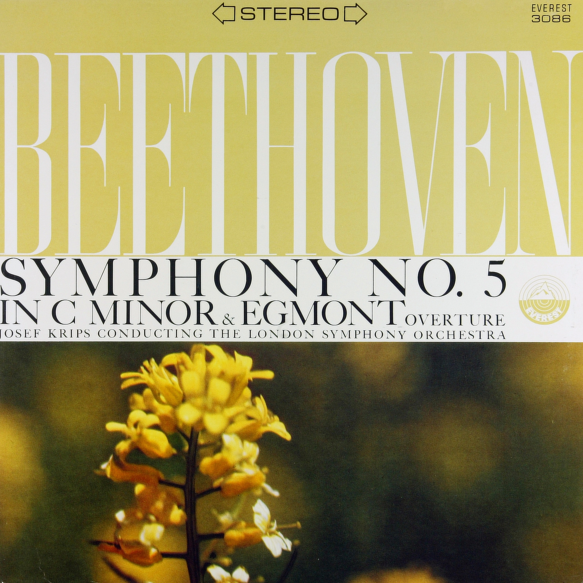 メトロノーム ADAPTER。The Beethoven CD メトロノーム ADAPTER。The Beethoven CD CD
